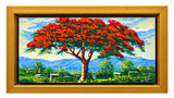 Flamboyán.
